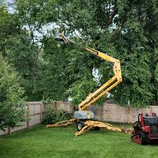 Best Organic Lawn Care Solutions  in Kenvil, NJ