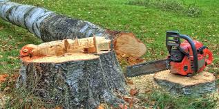 Best Hazardous Tree Removal  in Kenvil, NJ