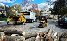Professional Tree Services in Kenvil, NJ
