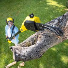 Best Tree Mulching  in Kenvil, NJ