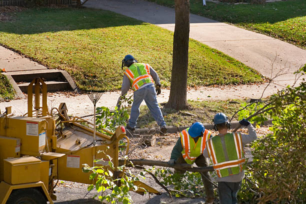 Best Leaf Removal  in Kenvil, NJ