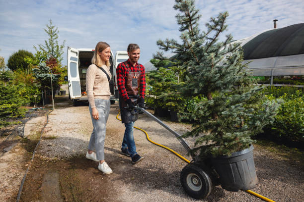Best Arborist Consultation Services  in Kenvil, NJ