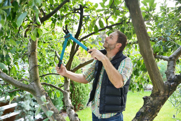 Best Tree Preservation Services  in Kenvil, NJ